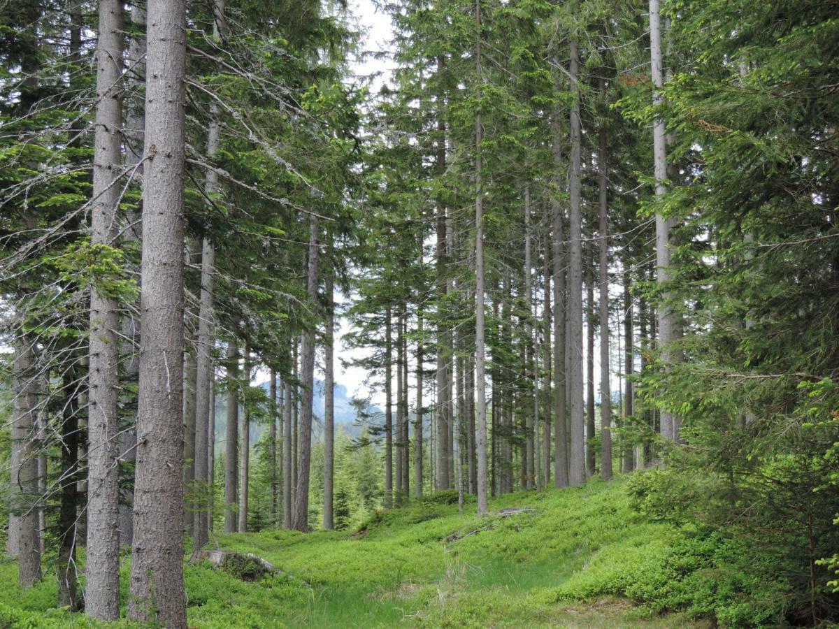 Urlaub Am Bauernhof Grabenhofer Vila Sankt Jakob im Walde Exterior foto