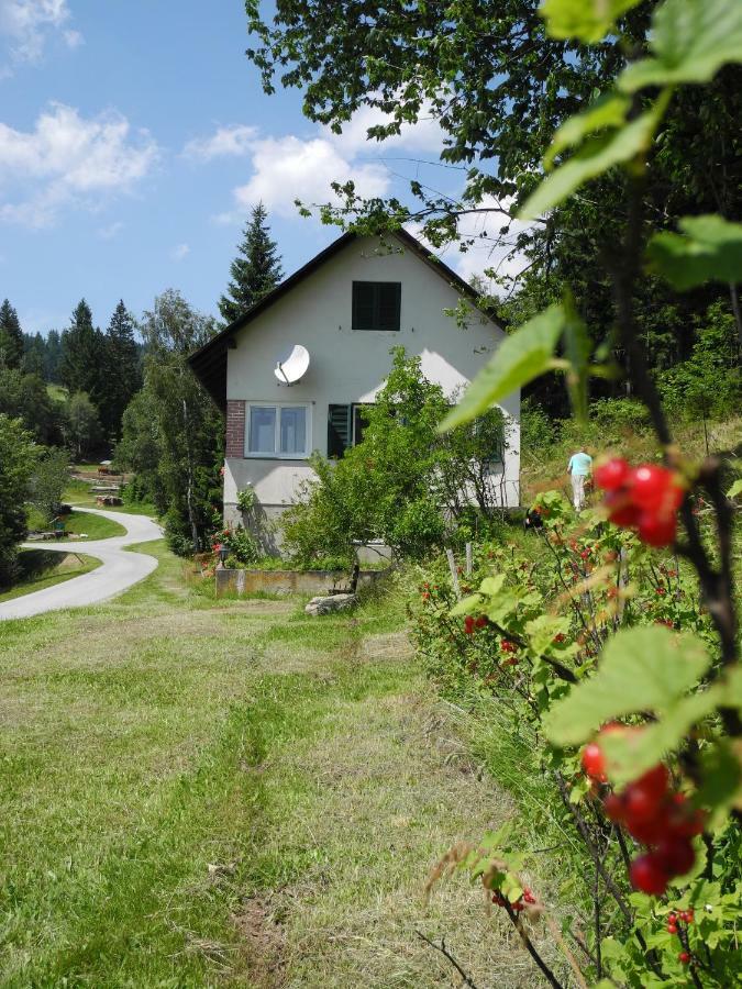 Urlaub Am Bauernhof Grabenhofer Vila Sankt Jakob im Walde Exterior foto