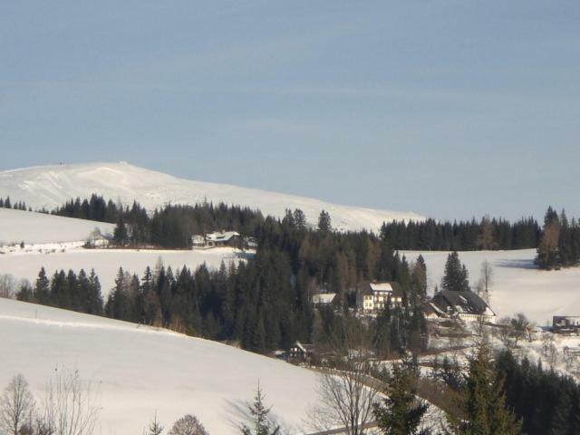 Urlaub Am Bauernhof Grabenhofer Vila Sankt Jakob im Walde Exterior foto